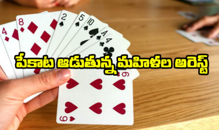 Playing Cards Arrest