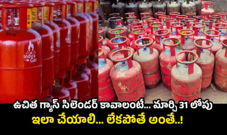 Free Gas Cylinder