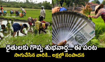 High Profit Farming
