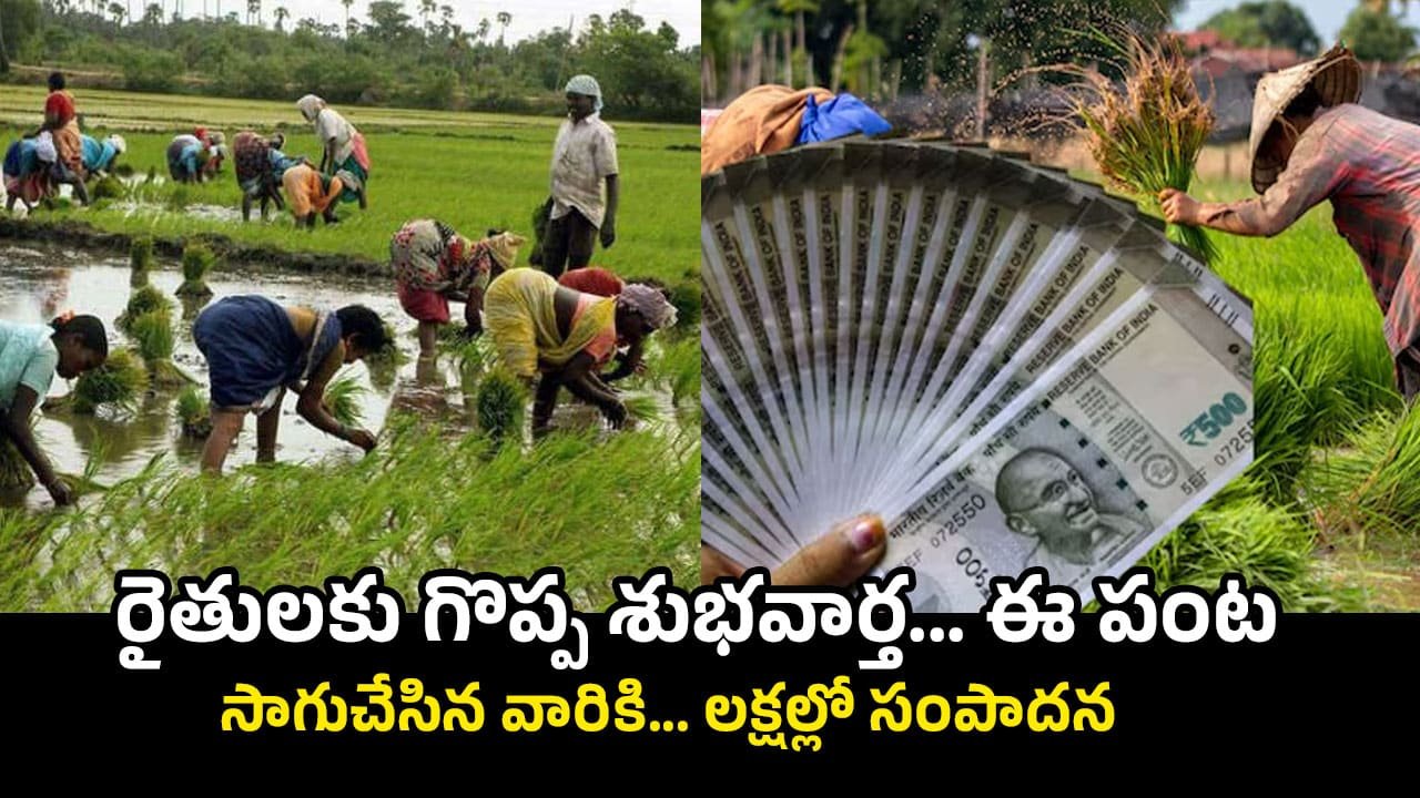 High Profit Farming High Profit Farming