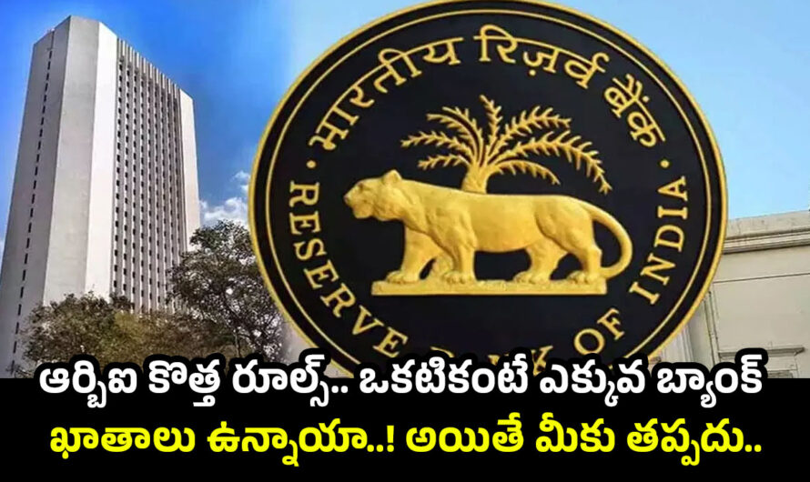 RBI New Rules: ఆర్బిఐ కొత్త రూల్స్.. ఒకటికంటే ఎక్కువ బ్యాంక్ ఖాతాలు ఉన్నాయా..! అయితే మీకు తప్పదు