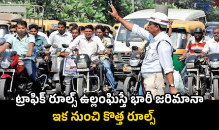 Traffic Fines