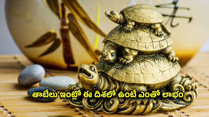 Vastu Tips of Tortoise