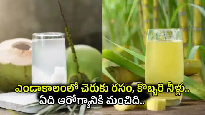 Coconut vs Sugarcane