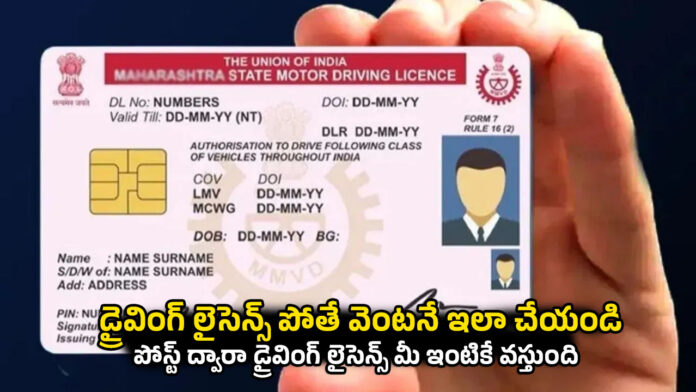 Driving Licence