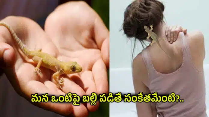 Lizard Effect