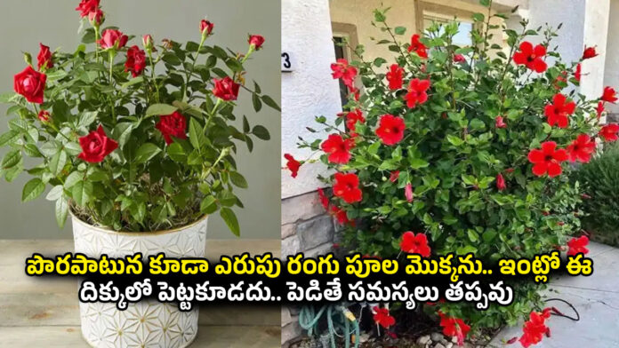 Vastu Tips
