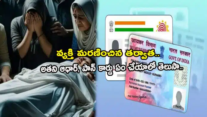 Aadhaar and PAN Cards