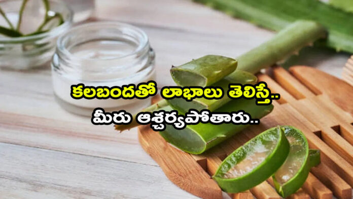 Alove vera Health Tips