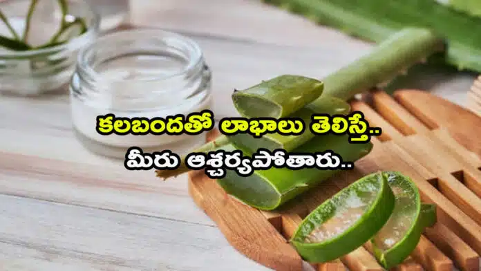 Alove vera Health Tips