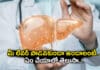 Health Tips: ఈ రకం పండ్లు తినండి.. లివర్ ను కాపాడుకోండి Health Tips