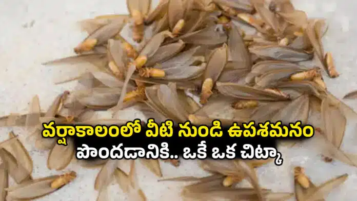 Home Remedies