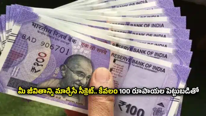 Investment Plan