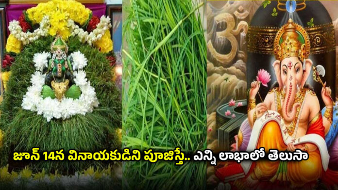 Lord Ganesh