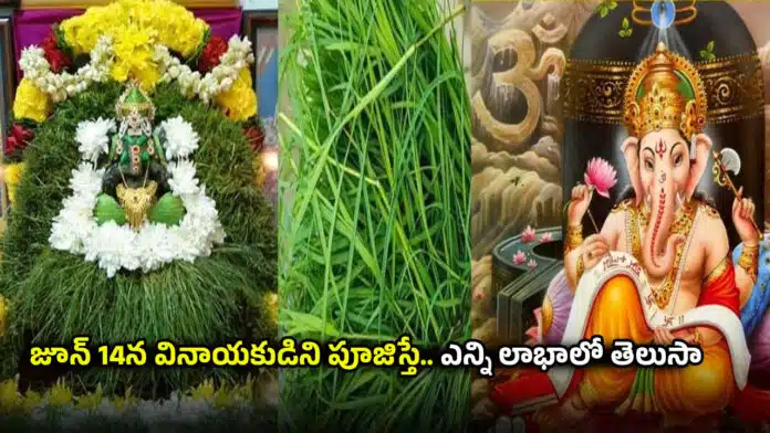 Lord Ganesh