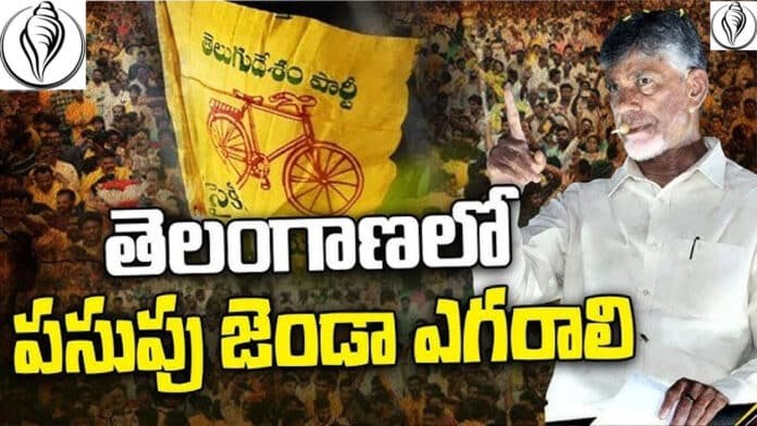 TDP TDP