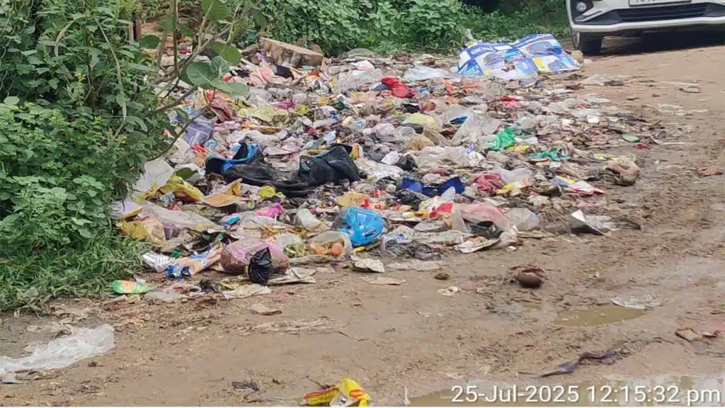 Muncipal Sanitation Roads