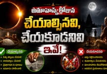 Amavasya 2026: అమావాస్య రోజున చేయాల్సినవి, చేయకూడనివి ఇవేAmavasya 2026 Amavasya 2026
