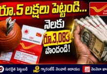 Post Office MIS 2026: పోస్టాఫీస్ మంత్లీ ఇన్కమ్ స్కీమ్ 2026: నెలవారీ ఆదాయం ఎలా పొందాలి? Post Office MIS 2026